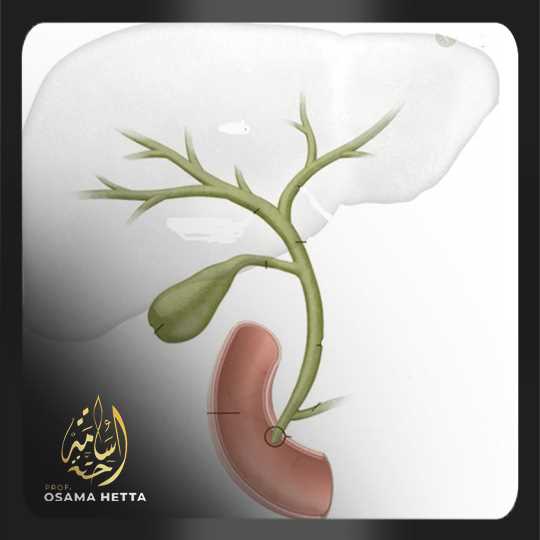 القنوات